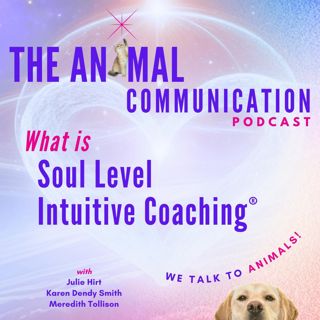 What is Soul Level Intuitive Coaching?