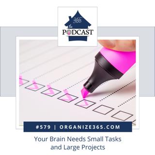 579 - Your Brain Needs Small Tasks and Large Projects