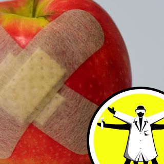 Regeneration: How the Body Heals