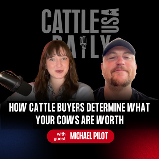 385: How Cattle Buyers Determine What Your Cows Are Worth with Michael Pilot