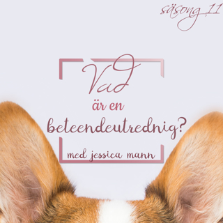 Vad är en beteendeutredning?