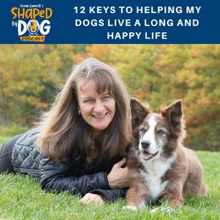12 Keys to Helping My Dogs Live a Long and Happy Life #62