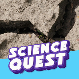 Grinding Plates and Shockwaves: How Earthquakes Shatter the Earth's Crust💥🪨