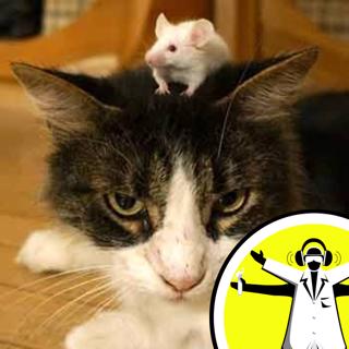 Citizen Science: Research You can Do