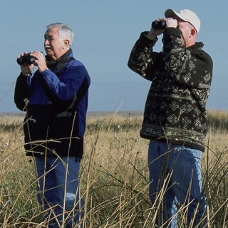 The Christmas Bird Count: An Over 120 Year Tradition