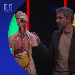 282. Waarom is dik worden zo makkelijk?