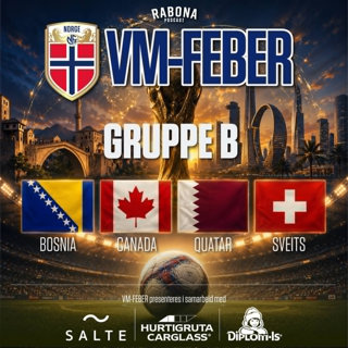 VM-GUIDEN: Gruppe B