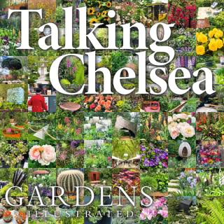 How to build a Chelsea garden (and get into the show for free)