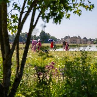 RHS Badminton Flower Show