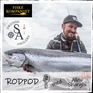 Avsnitt 45 - Albin Sharghi