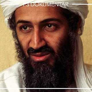 Jakten på Usama bin Ladin