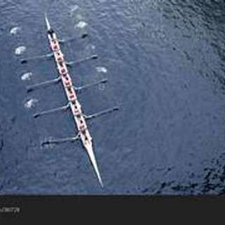 The Harvard Boat to Mexico Chapter 6 - Troubles at Harvard/ The Final Clubs