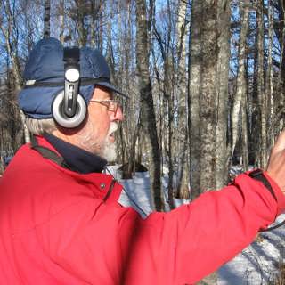 Hackspettarna trummade i Färnebofjärdens nationalpark