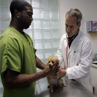 Everything’s more expensive!! Pet care!! Concert tickets!! (Two Indicators)