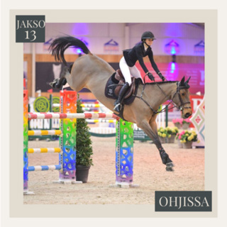 13. Jokaiselle hevoselle annetaan mahdollisuus. - Vieraana Anna-Julia Kontio