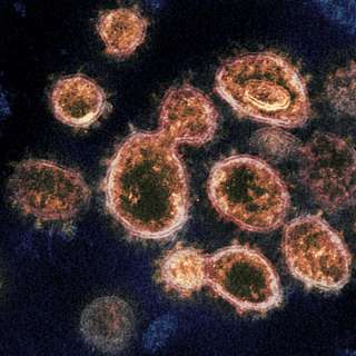 Article: Reducing global catastrophic biological risks