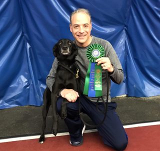 Westminster Special: Living the Dream; Novice to Westminster