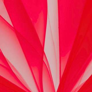 10.26.25 - Formed and Reformed by God's Spirit of Love