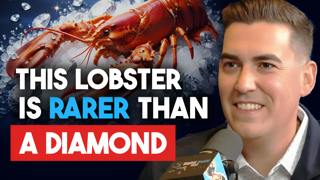 He Accidentally Started America’s Biggest Seafood Business | Jonathan Stramaglia | DSH #1600
