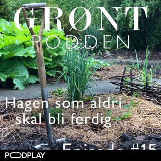 #15 Hagen som aldri skal bli ferdig