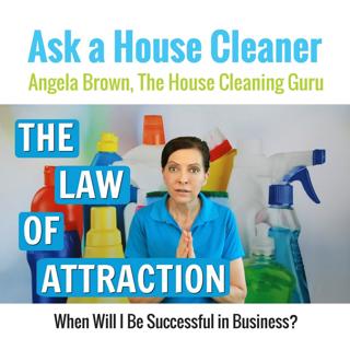 The Law of Attraction for House Cleaners