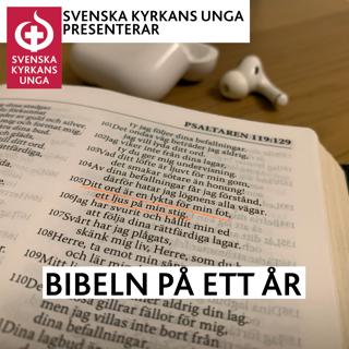 93/365 - 2022 (Bibeln på ett år)