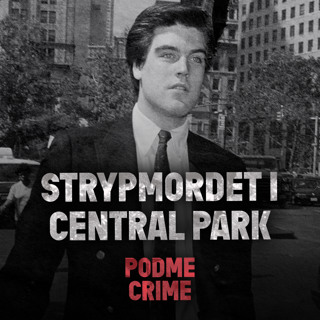 Strypmordet i Central Park