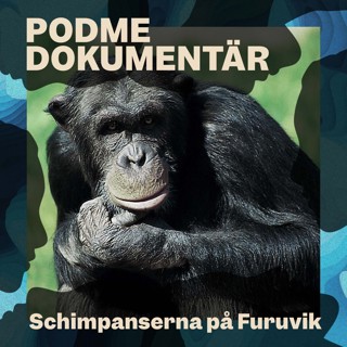 Podme Dokumentär