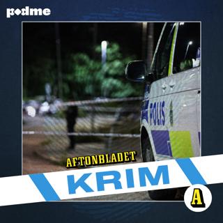 Skotten i Kallhäll och häktningen av ”Samurai”