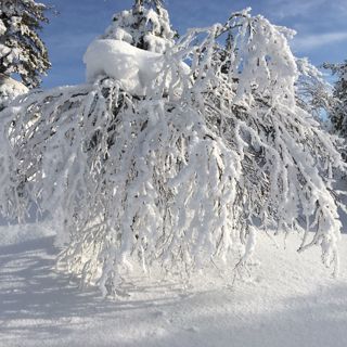 17. Hillasuolla helteellä