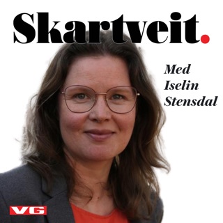 Taper vi det grønne skiftet mot Kina?