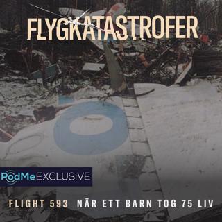 Flight 593 - När ett barn tog 75 liv 