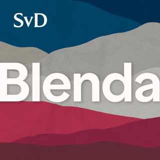 blenda-2