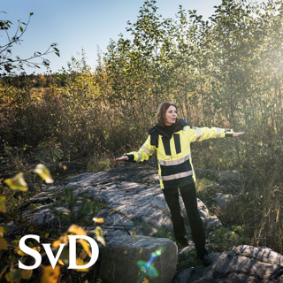 Finland inleder förvar – Sverige flyttar grodor
