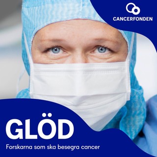Forskningens framsteg – från 1950-talet fram till i dag och vidare in i framtiden