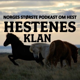 3 - To myke muler og en sommerfugl
